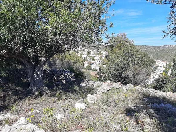 Terreno en Urbanització Benarrosa Gardens