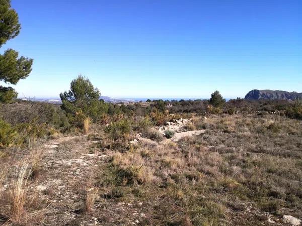 Terreno en Jalón