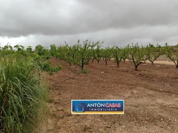 Terreno en Pinoso