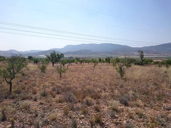 Terreno en Hondón de las Nieves