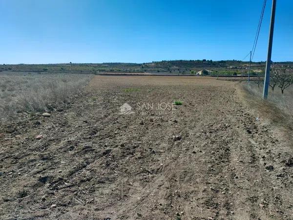 Terreno en La Murada-Los Vicentes