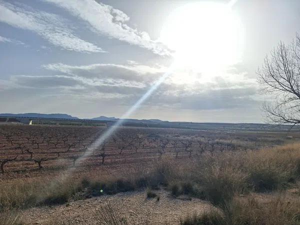 Terreno en Diseminado Pinoso, 2