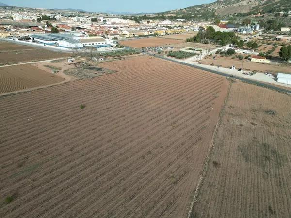 Terreno en Diseminado Pinoso, 2