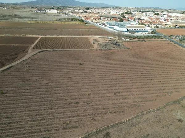 Terreno en Diseminado Pinoso, 2