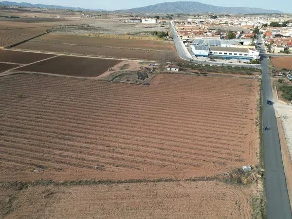 Terreno en Diseminado Pinoso, 2