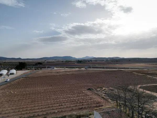 Terreno en Diseminado Pinoso, 2