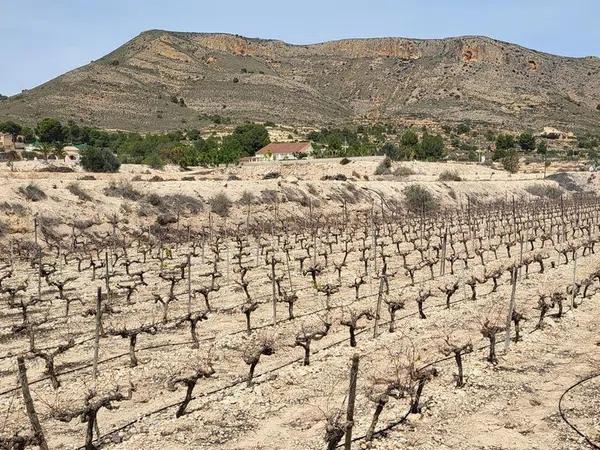 Terreno en La Romana