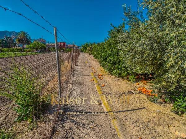 Terreno en camino la Almuina