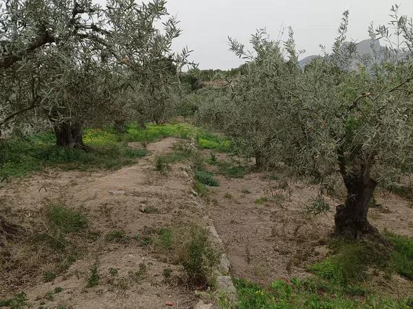 Terreno en Partida Pessaduro, 17