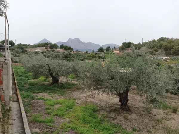 Terreno en Partida Pessaduro, 17