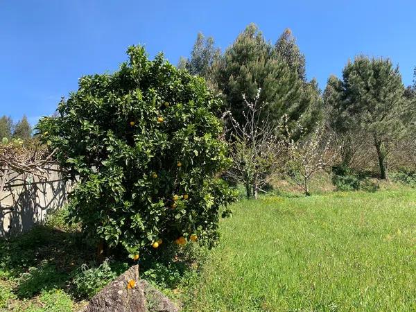 Terreno en Lañas