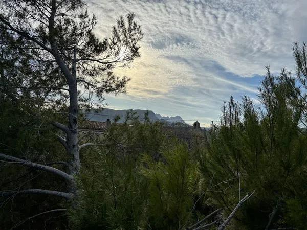 Terreno en Partida Tosal de la Cometa