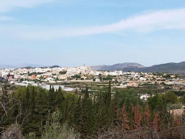 Terreno en calle Assagador