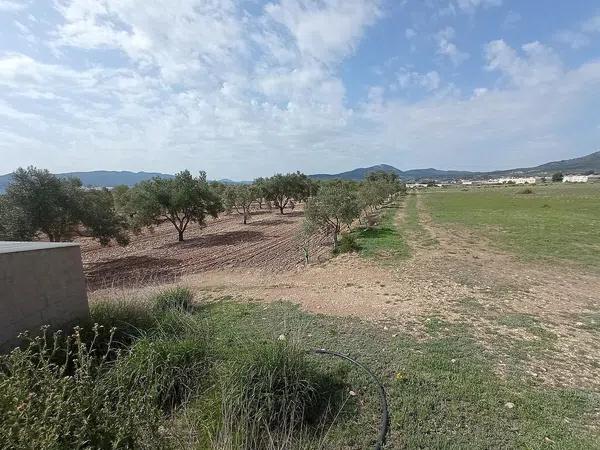 Terreno en Salinas