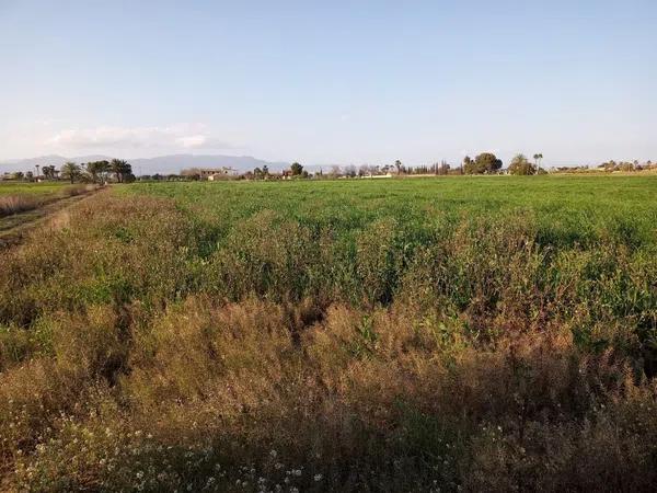 Terreno en camino Arroba de Hornos, 130