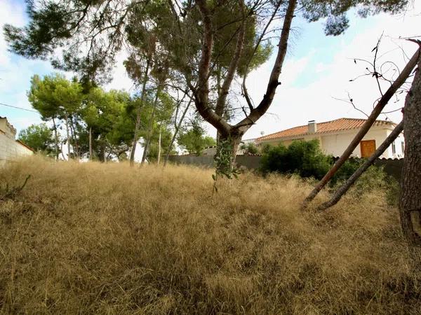 Terreno en calle limonero