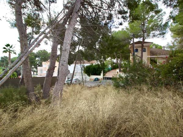 Terreno en calle limonero