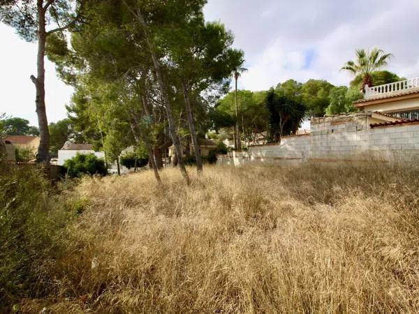 Terreno en calle limonero