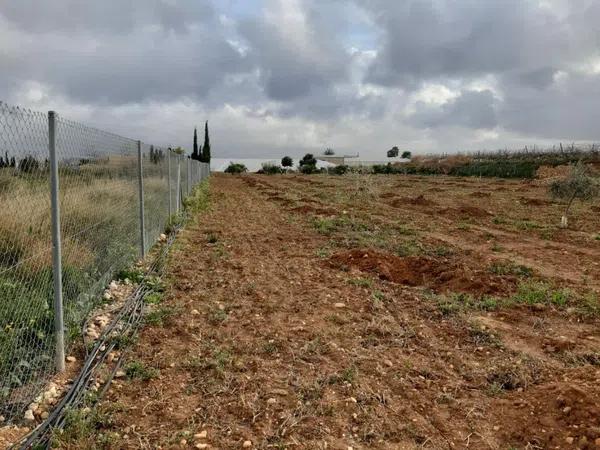 Terreno en Partida Horna Baja, 16