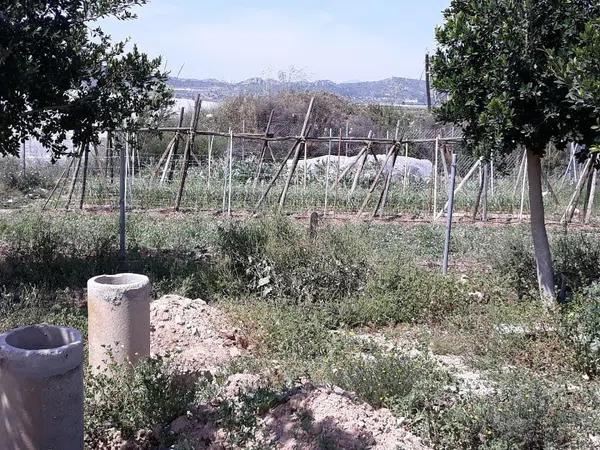 Terreno en Partida Horna Baja, 16