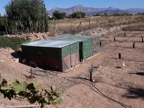 Terreno en Partida Horna Baja, 16