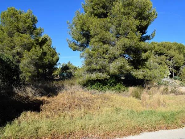 Terreno en Urbanizacion Garduix I, 1