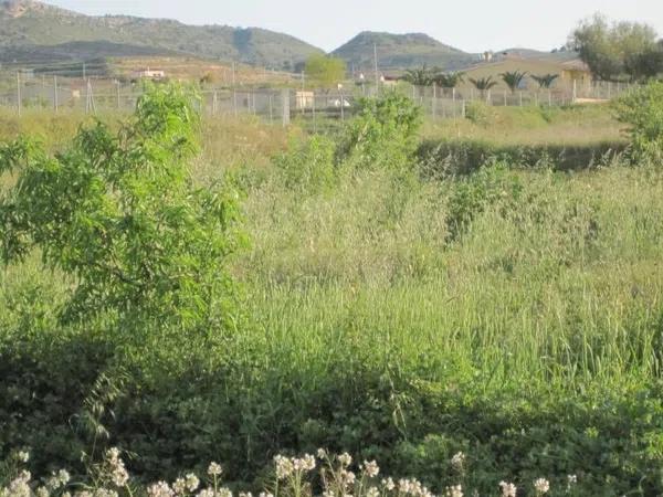 Terreno en Pedanías Oeste