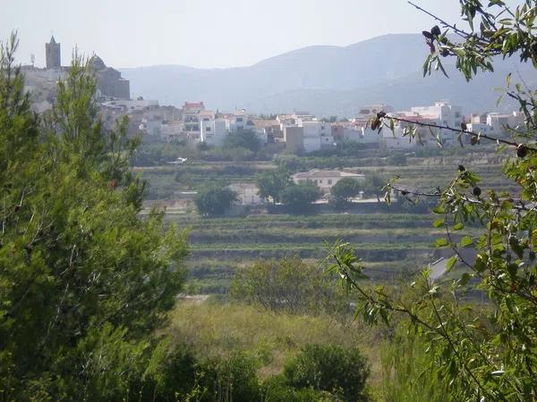 Terreno en assegadors, 21