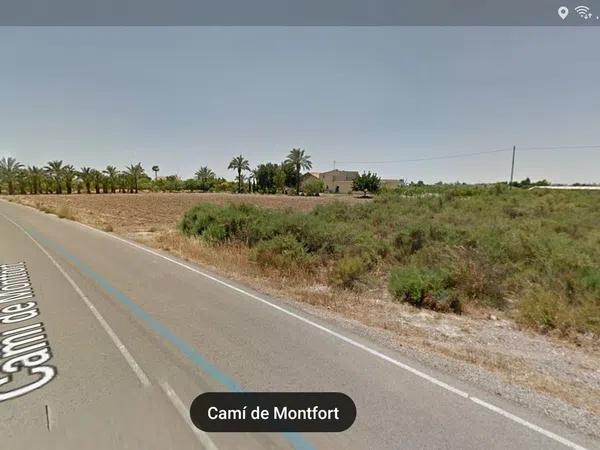 Terreno en camino Monfort sn Elche, 116