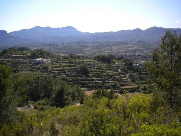 Terreno en Partida llenes