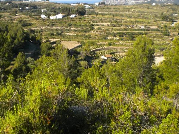 Terreno en Partida llenes