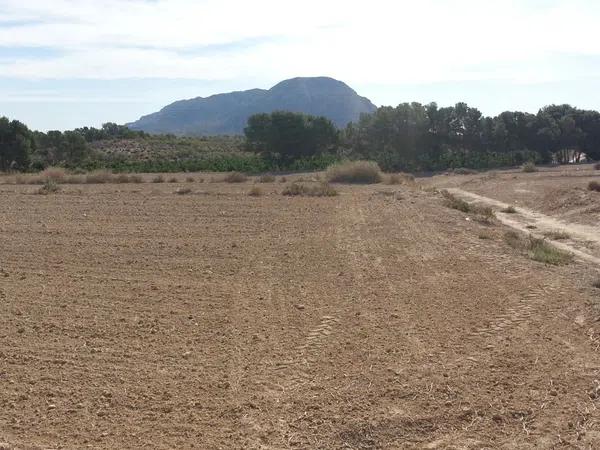 Terreno en camino camino del Fardacho, 1