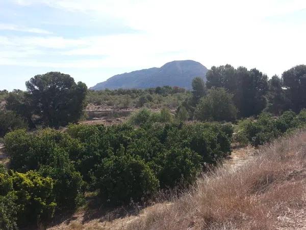 Terreno en camino camino del Fardacho, 1