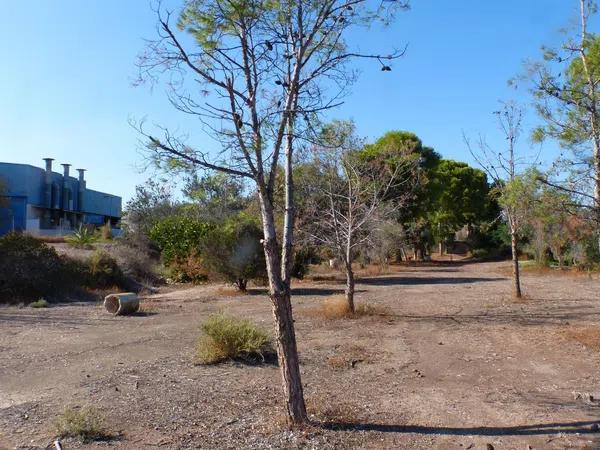 Terreno en La Huerta