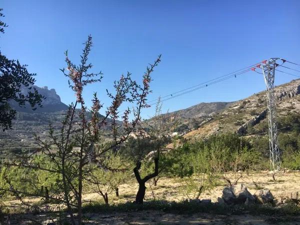 Terreno en carretera Cv-7141, km 1