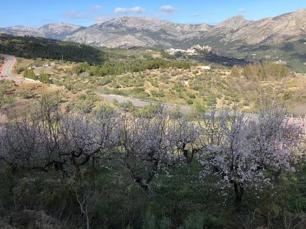 Terreno en Polígono 8 Parcela 55, 34