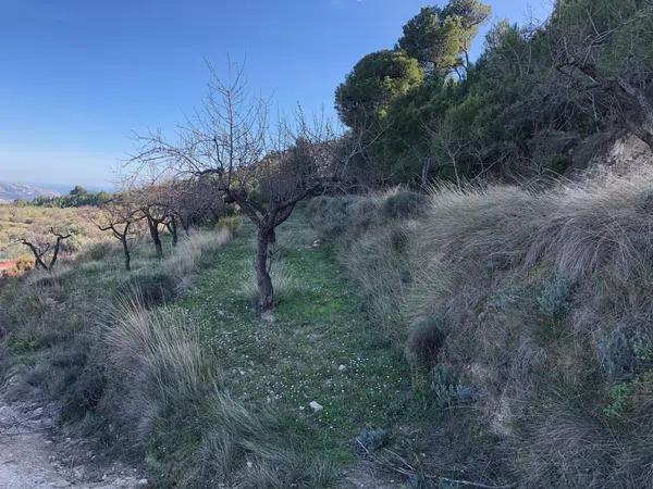 Terreno en Polígono 8 Parcela 55, 34