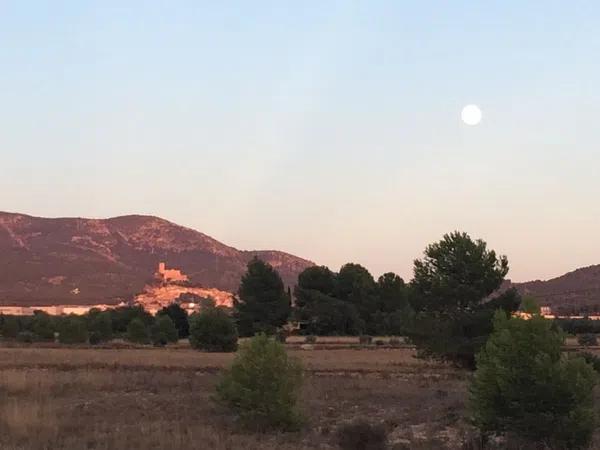 Terreno en La Lloma de Biar