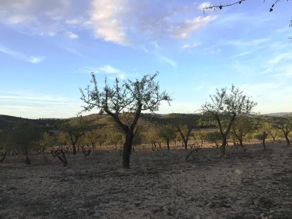 Terreno en Paraje La Calera s/n Sn