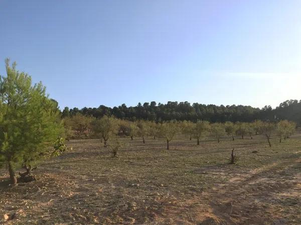 Terreno en Paraje La Calera s/n Sn