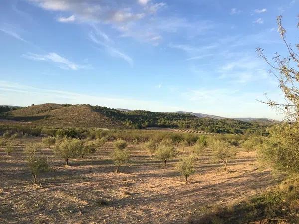 Terreno en Paraje La Calera s/n Sn