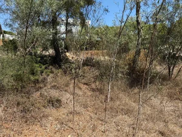 Terreno en Pinar de Advocat-Cometa