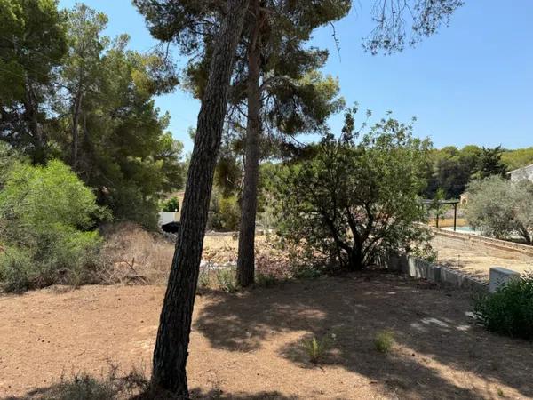 Terreno en Pinar de Advocat-Cometa