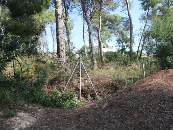 Terreno en Pinar de Advocat-Cometa