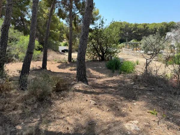 Terreno en Pinar de Advocat-Cometa