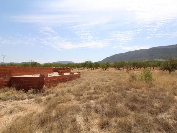 Terreno en Partida de Canya, Polígono 9, parcela 148 s/n