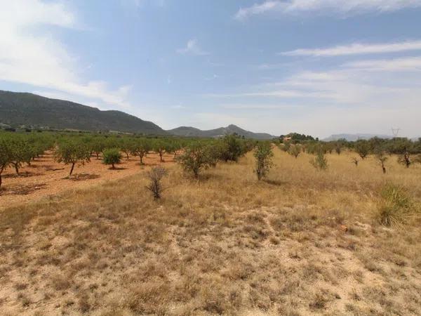 Terreno en Partida de Canya, Polígono 9, parcela 148 s/n