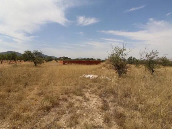 Terreno en Partida de Canya, Polígono 9, parcela 148 s/n