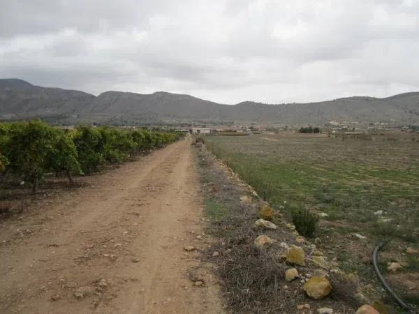 Terreno en Hondón de las Nieves