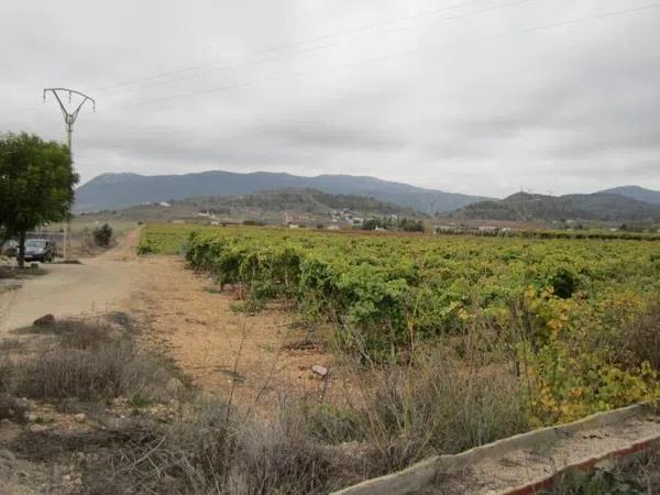 Terreno en Hondón de las Nieves